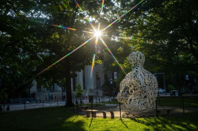 MIT campus illuminated in the summertime (Credits: Lillie Paquette).