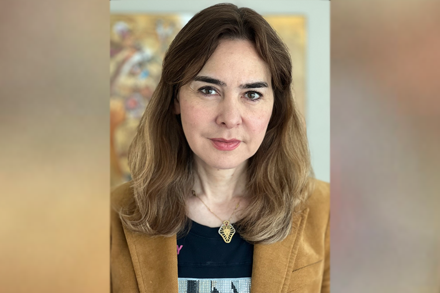 Dina Katabi, MIT Professor and CSAIL principal investigator (Credit: Dina Katabi).